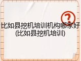 比如县挖机培训机构哪家好(比如县挖机培训)