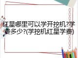 红星哪里可以学开挖机?学费多少?(学挖机红星学费)