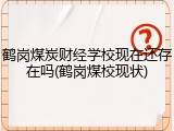 鹤岗煤炭财经学校现在还存在吗(鹤岗煤校现状)