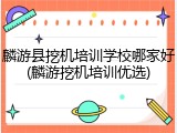 麟游县挖机培训学校哪家好(麟游挖机培训优选)
