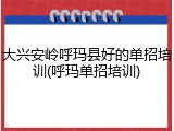 大兴安岭呼玛县好的单招培训(呼玛单招培训)