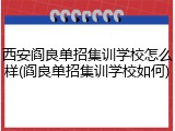西安阎良单招集训学校怎么样(阎良单招集训学校如何)