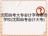 沈阳自考大专会计学有哪些学校(沈阳自考会计大专)
