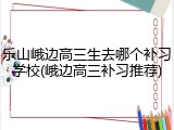 乐山峨边高三生去哪个补习学校(峨边高三补习推荐)