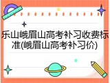乐山峨眉山高考补习收费标准(峨眉山高考补习价)