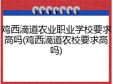 鸡西滴道农业职业学校要求高吗(鸡西滴道农校要求高吗)