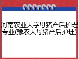 河南农业大学母猪产后护理专业(豫农大母猪产后护理)