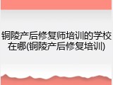 铜陵产后修复师培训的学校在哪(铜陵产后修复培训)