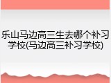 乐山马边高三生去哪个补习学校(马边高三补习学校)