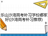 乐山沙湾高考补习学校哪家好(沙湾高考补习推荐)