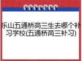 乐山五通桥高三生去哪个补习学校(五通桥高三补习)