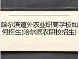 哈尔滨道外农业职高学校如何招生(哈尔滨农职校招生)