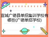 宣城广德县单招集训学校有哪些(广德单招学校)