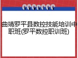 曲靖罗平县数控技能培训中职班(罗平数控职训班)