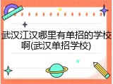 武汉江汉哪里有单招的学校啊(武汉单招学校)