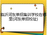 临沂河东单招集训学校在哪里(河东单招校址)