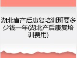 湖北省产后康复培训班要多少钱一年(湖北产后康复培训费用)