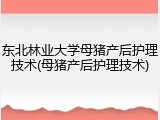 东北林业大学母猪产后护理技术(母猪产后护理技术)