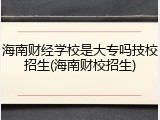 海南财经学校是大专吗技校招生(海南财校招生)