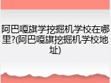 阿巴嘎旗学挖掘机学校在哪里?(阿巴嘎旗挖掘机学校地址)