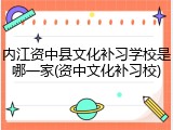 内江资中县文化补习学校是哪一家(资中文化补习校)