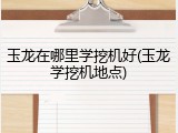 玉龙在哪里学挖机好(玉龙学挖机地点)
