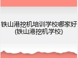 铁山港挖机培训学校哪家好(铁山港挖机学校)