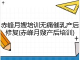 赤峰月嫂培训无痛催乳产后修复(赤峰月嫂产后培训)