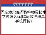 巴彦淖尔临河数控模具技术学校怎么样(临河数控模具学校评价)