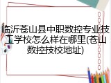 临沂苍山县中职数控专业技工学校怎么样在哪里(苍山数控技校地址)