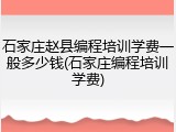 石家庄赵县编程培训学费一般多少钱(石家庄编程培训学费)