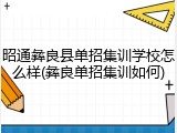 昭通彝良县单招集训学校怎么样(彝良单招集训如何)