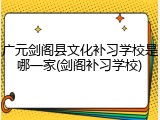 广元剑阁县文化补习学校是哪一家(剑阁补习学校)
