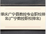 肇庆广宁县数控专业职校排名(广宁数控职校排名)