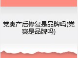 党爽产后修复是品牌吗(党爽是品牌吗)