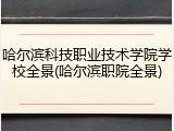 哈尔滨科技职业技术学院学校全景(哈尔滨职院全景)