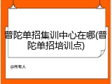 普陀单招集训中心在哪(普陀单招培训点)
