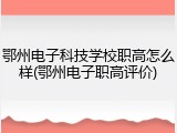 鄂州电子科技学校职高怎么样(鄂州电子职高评价)