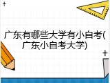广东有哪些大学有小自考(广东小自考大学)