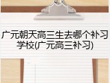 广元朝天高三生去哪个补习学校(广元高三补习)