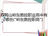 双鸭山岭东数控职业高中有哪些("岭东数控职高")