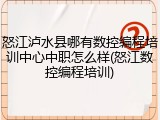 怒江泸水县哪有数控编程培训中心中职怎么样(怒江数控编程培训)