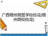 广西梧州商贸学校校花(梧州商校校花)