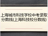 上海城市科技学校中考录取分数线(上海科技校分数线)