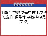 伊犁奎屯数控模具技术学校怎么样(伊犁奎屯数控模具学校)