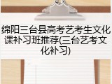 绵阳三台县高考艺考生文化课补习班推荐(三台艺考文化补习)