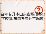 自考专升本山东省能报哪些学校(山东自考专升本院校)