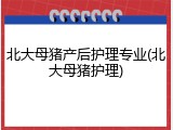 北大母猪产后护理专业(北大母猪护理)