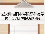 武汉科技职业学院是什么学校(武汉科技职院简介)