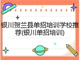 银川贺兰县单招培训学校推荐(银川单招培训)
